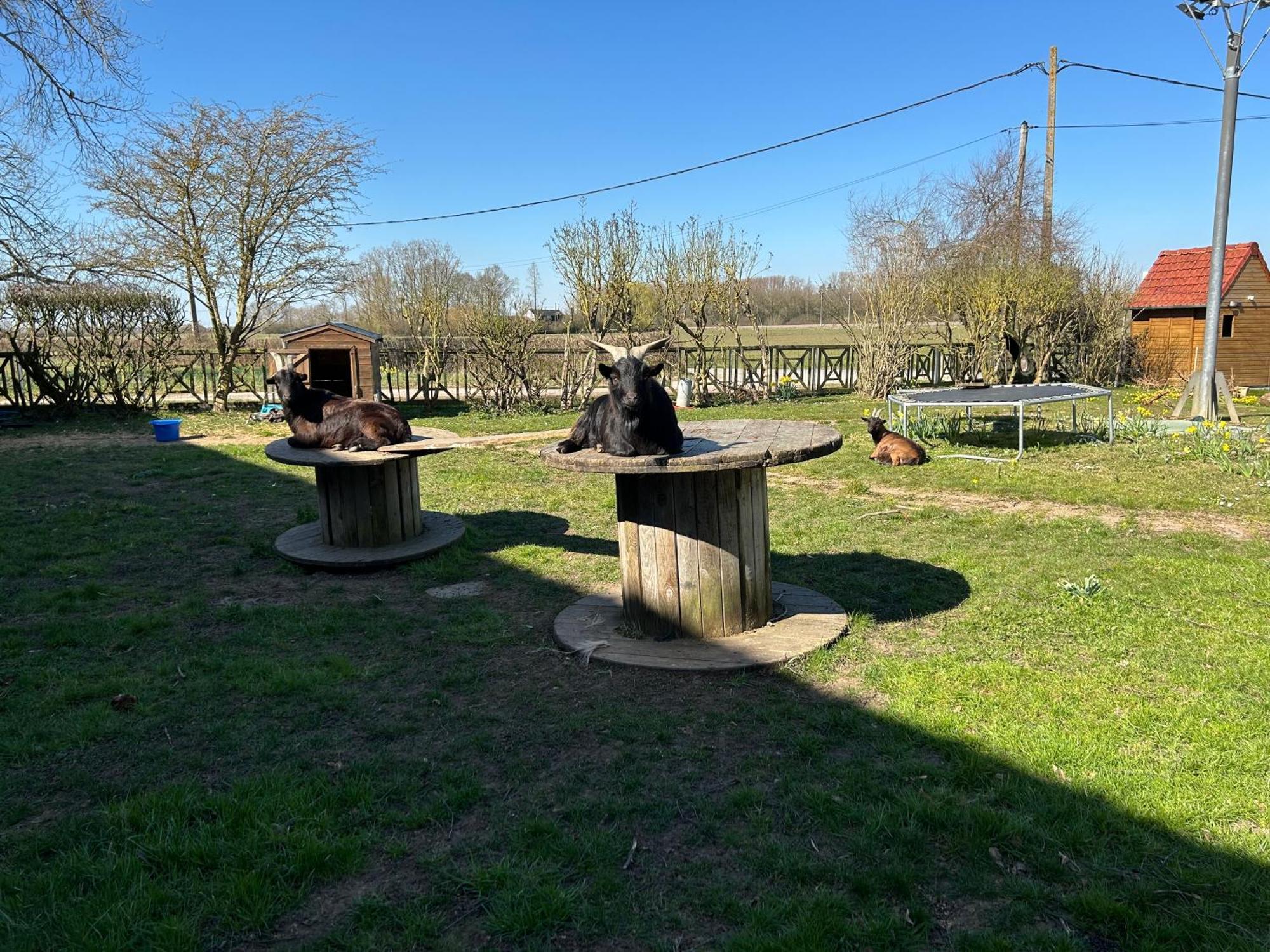 La Ferme Du Paradis 3* Merris